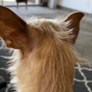 Meet your Posher, Catherine